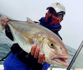 网红鱼神吃瓜视频,揭秘网红鱼神的趣味吃瓜日常